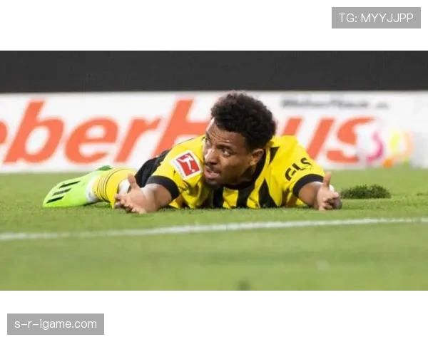 黄墙主场再创辉煌，德甲竞争力显著提升引关注