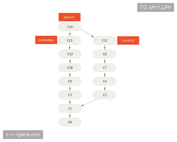 加克波职业生涯轨迹解析